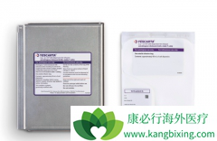 �����Ʒ�CAR-Tϸ���Ʒ���������ư�֢�ģ�