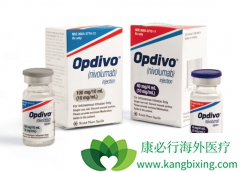 �����Ʒ�Opdivo��չ������ҩ��VE800��������������