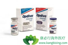 �̵����䵥��(OPDIVO)Ŀǰ����׼����Ӧ֢�Լ���Ч
