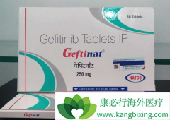 ��������(Gefinat)��Ҫ��Ϊ���ߵĸ����ϰ����м���������