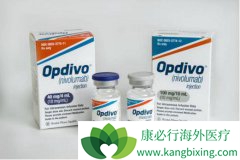 ���䵥��(OPDIVO)���ٴ�Ӧ�÷��������淽��