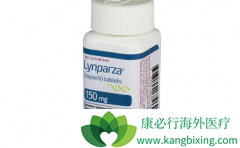 �׸�PARP���Ƽ�����������Olaparib��Ŀǰ�Ѿ��ڹ�������