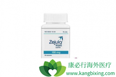 PARP���Ƽ�����������Zejula������ʱ�İ�ȫ����ô����