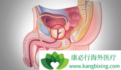 ������ɼ���ɽ�ǰ���ٰ�֢���������������25%