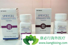 ��ɳ����(Dasanix)�����ڶ�ͯ��Ѫ�����������ѵĻ���