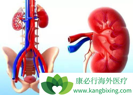 帕唑帕尼 帕唑帕尼