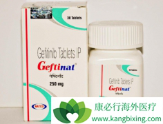 ���������������ĵ�EGFR���Ƽ��Ƿ�Сϸ���ΰ����ð���ҩ��