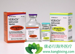 Yervoy��Ipilimumab�����ڵ�һ�����߼������Ƽ�