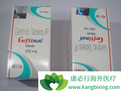 ��������(Gefinat)�����ʺ�������ʷ�ķ��۰����Ի���