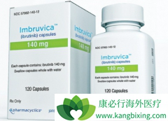 ��ҩ��������/��³��������DLBCL��Ч����