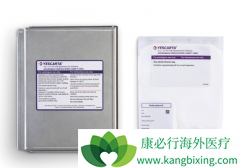 �����ܰ�ϸ����Ѫ������ʹ��CAR-T������