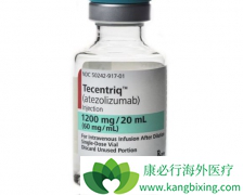 PD-L1����Tecentriq�����Ʒ�����һ�����Ʒ�Сϸ���ΰ�����