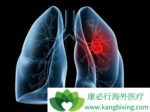 达克替尼 达克替尼