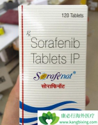 ��������(Soranix)ͬʱ���û���������Ӧ���ڽ���������