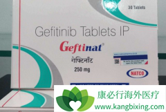 ���ü�������(GEFITINIB)��������ز�����Ӧ��