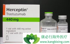 ���ٰ������ܹ�ֹͣ���������鵥����