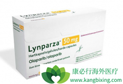 ���й����Թ��������ҩ��everest��������PAPR���Ƽ�����������