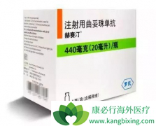 ������HER2�Ĺ��ȱ����θ������ʹ�ú���͡����Ч���?