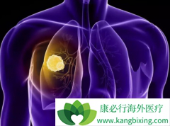 ����Ż���Ƿΰ���ת��֢״������