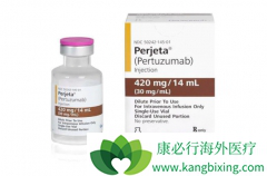 HER2+�������ٰ������ذ���ҩ�����鵥������й�ҩ�����׼����