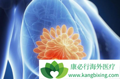 ���ٰ��ڷ������ƻ��ø�������ǰ�������