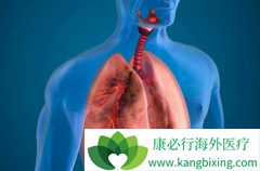 ����ҩ���������Էΰ���ת�ƻ��ߵ���Ч�ʴ�40%~41.9%