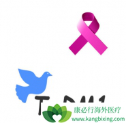 �����鵥��-emtansine����ҩ��T-DM1�ĸ������׿�����