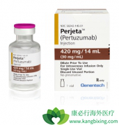 HER2�������ٰ��ذ�������ҩ�����鵥�����й���������