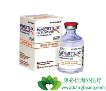 ��EGFRΪ�е�Ľ�ֱ��������ҩ���������������������Щ��