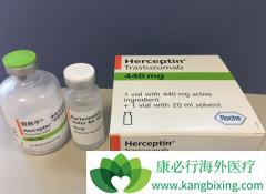˫����ҩ�������ڷ�����������HER2�������ٰ���Ч����ô����