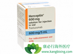 �����鵥�����������鵥��˫����ҩ��������HER2+���ٰ������·���