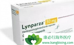 ��������(olaparib)�����ڴﵽ��ȫ���⻼�ߵ�ά������