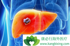 ��Ī«����(Cyramza)���������ڸΰ���