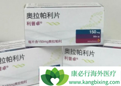 ���й����е��׸�PARP���Ƽ��������������ѳ������ߵ�Ч����ô����