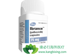 CDK4/6���Ƽ��߰��������Ϸ�ά˾Ⱥ����HER2�������ٰ�����Ч��