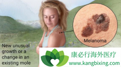 ����PD-1����������������ע��Һ�������ƺ�ɫ��������