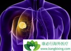 ����̩/�����������϶��ȿ����������ٰ�������