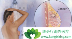 HER2�������ٰ������ٰ������Ļ�������