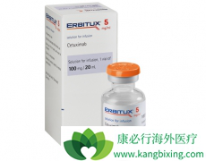 ���������������ƽ�ֱ�������ߵĿ�EGFR����ҩ��