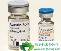 ��ֱ����������Ҫ��ҩ�Ǳ����鵥��������������