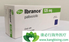 Ŀǰ�������ٰ����Ƶ�CDK4/6���Ƽ��������������⻹����Щ��