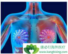 ���������뿨���������ÿ�ʹ���߿ɻ�ø��õ��޽�չ������