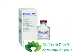 EGFR����С����ҩ����EGFR����һ���ж����֣�