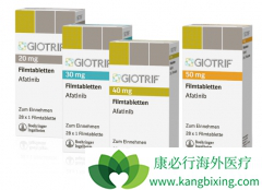 �ڶ���EGFR���Ƽ�����������һ��ҩ������Щ����