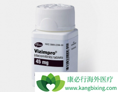 ����ȫ��һ��EGFR���Ƽ�������ᣨVIZIMPRO����ô��