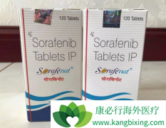 ��������/�༪����һ�����Ͷ�����Ե����������Ŀڷ�ҩ��