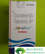 �¹����ڵĶ༪����Ч�Ƿ�һ�����ϼ������ư��Ҫ�ã�