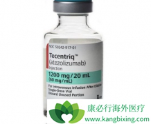 ����PD-L1���Ƽ����ƺ��ߵ�Сϸ���ΰ��������ж�ã�