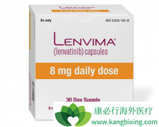 ����ҩ�ַ�����(Lenvima)���ٴ�Ч��ʮ���������