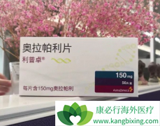 SOLO-1�ٴ����������ƽ�PARP���Ƽ��������������ѳ���ά������